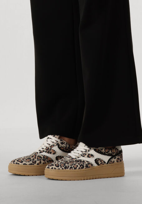 NOTRE-V ANEMONE-63 NOTRE-V ANEMONE-63 - large