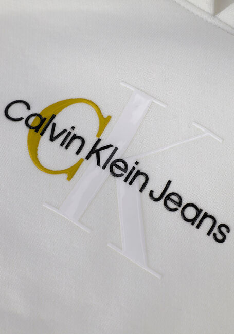 CALVIN KLEIN Pull POLAROID SLEEVE PRINT HOODIE en blanc - large