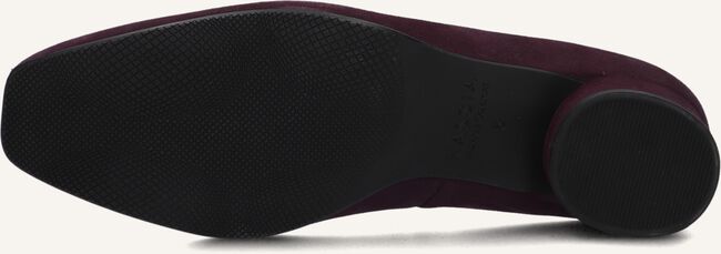 Paarse HASSIA  302627 Paarse HASSIA  302627 - large