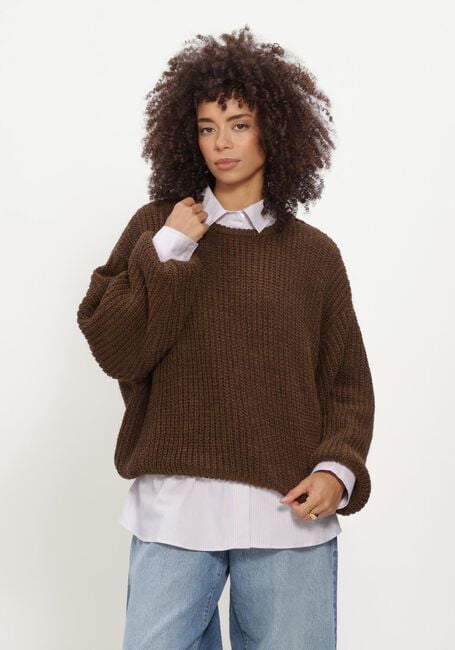 Bruine AMERICAN VINTAGE Trui CYROW - large