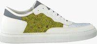 Witte NAT-2 Lage sneakers MOSS GREEN - medium