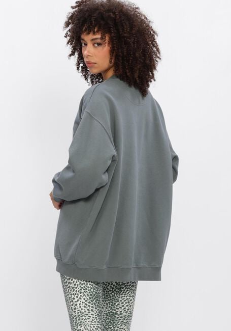 Groene DEBLON SPORTS Sweater PHOEBE SWEATER - large