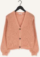 Roze BY-BAR Vest VIVE CARDGIAN Roze BY-BAR Vest VIVE CARDGIAN - medium