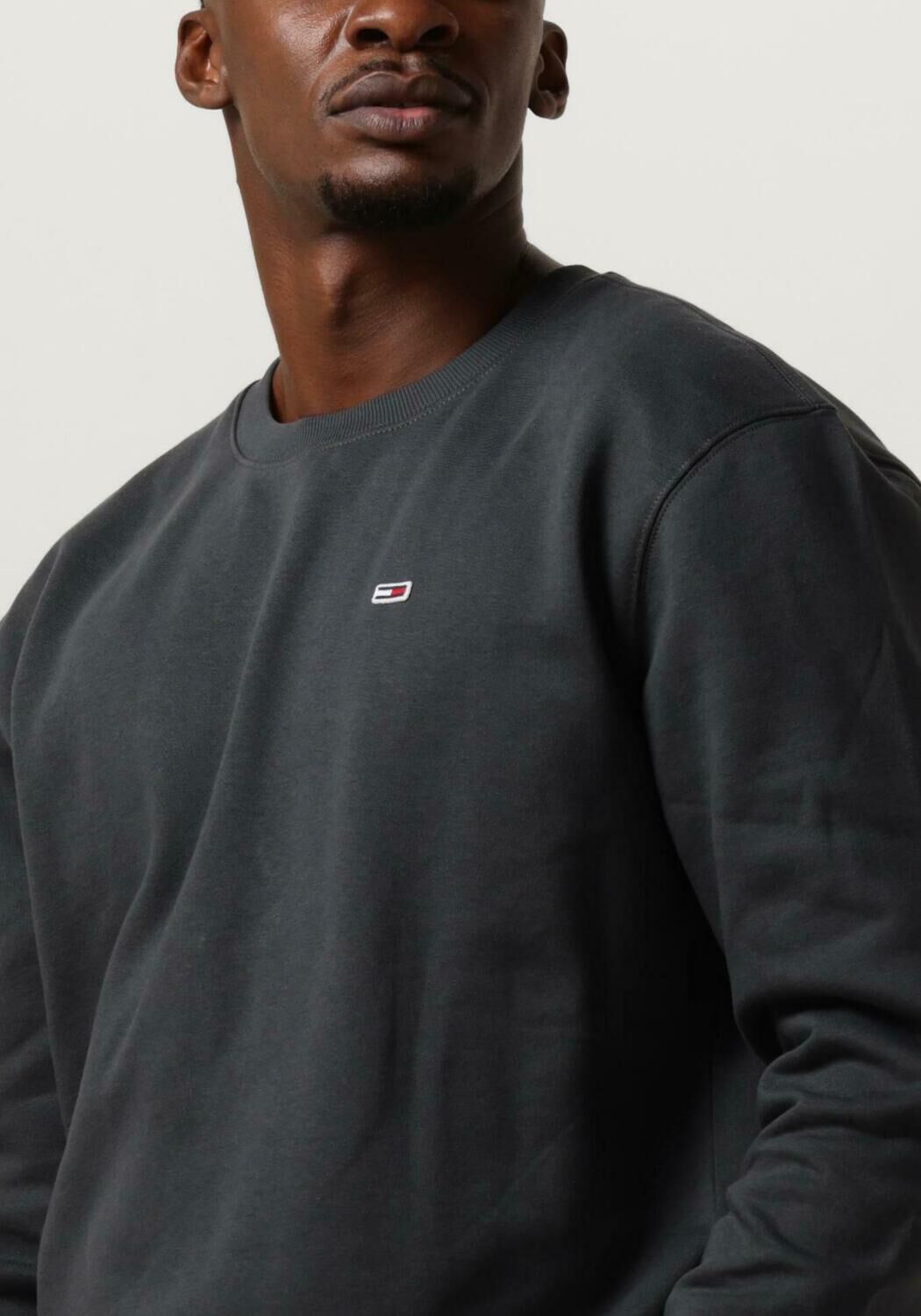 Donkergrijze TOMMY JEANS Sweater TJM REGULAR FLEECE C NECK Omoda