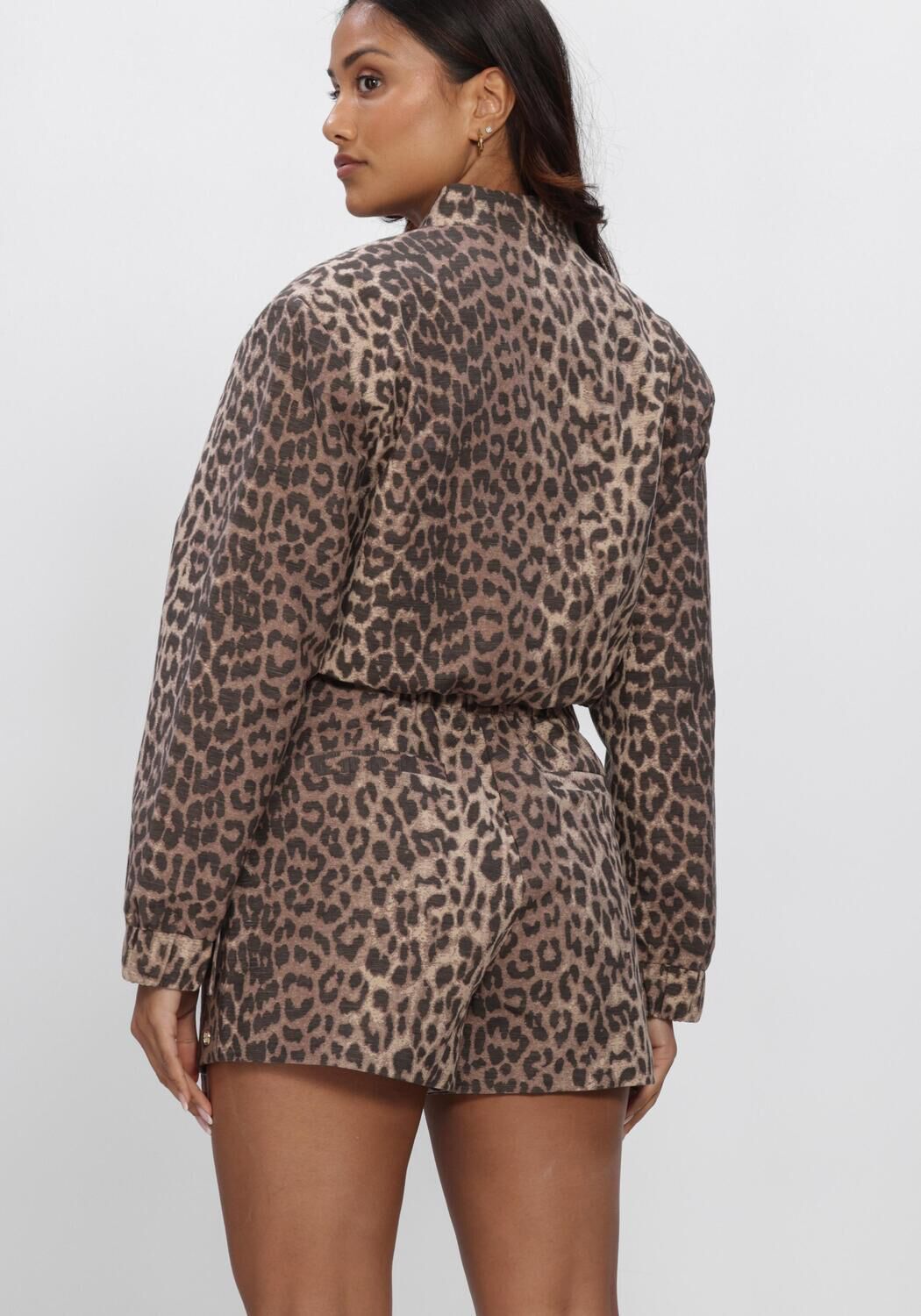 Bruine JOSH V Jack NADINE - large