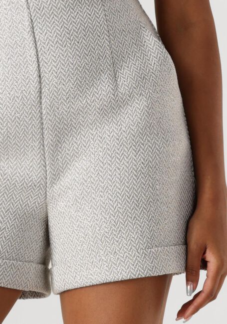 ACCESS D44-5113-079 Pantalons en argent - large