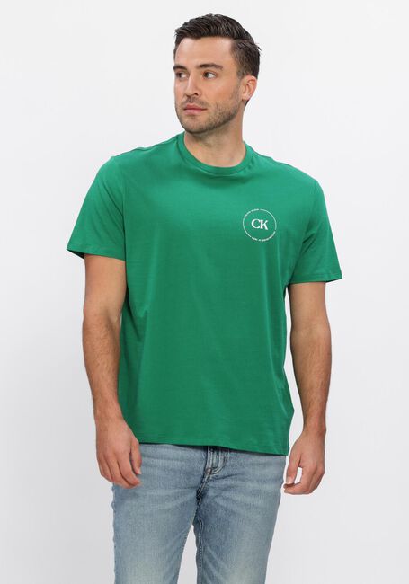Groene CALVIN KLEIN T-shirt 30S EU WHOLESALE JEANS GRAPHICS - large