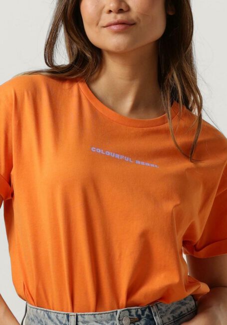 COLOURFUL REBEL T-shirt UNI LOGO BOXY TEE en orange - large