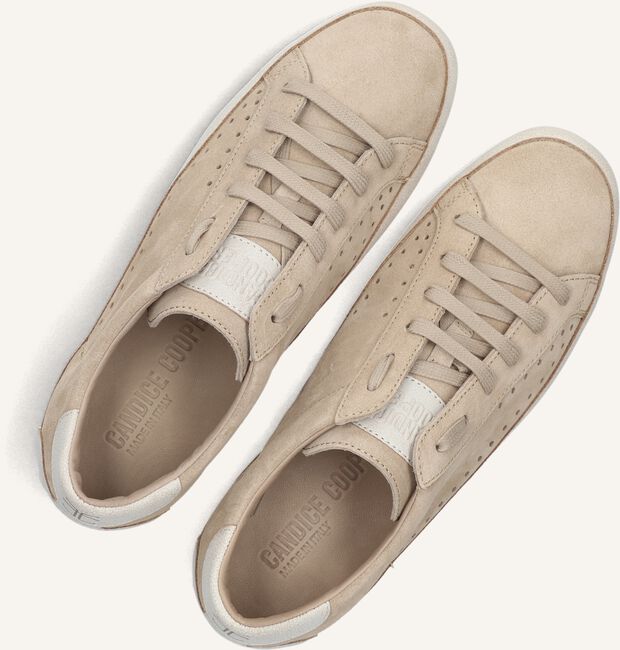 Beige CANDICE COOPER Sneakers DAFNE Beige CANDICE COOPER Sneakers DAFNE - large