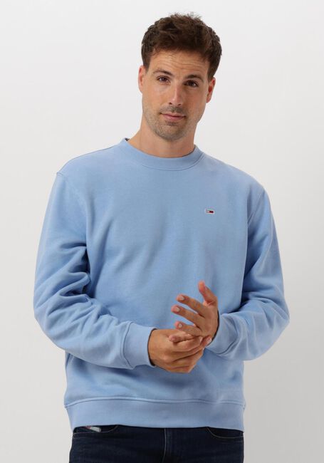 TOMMY JEANS Pull TJM REG S FLAG CREW Bleu clair - large