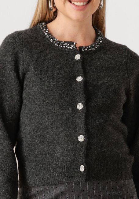 NEO NOIR Gilet MARIE STONE KNIT CARDIGAN Gris foncé - large