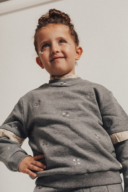 Grijze BAJE STUDIO Sweater DERBY Grijze BAJE STUDIO Sweater DERBY - large