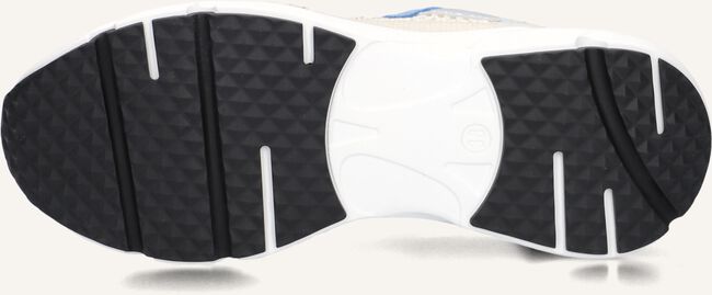 MARUTI RAVEN MARUTI RAVEN - large