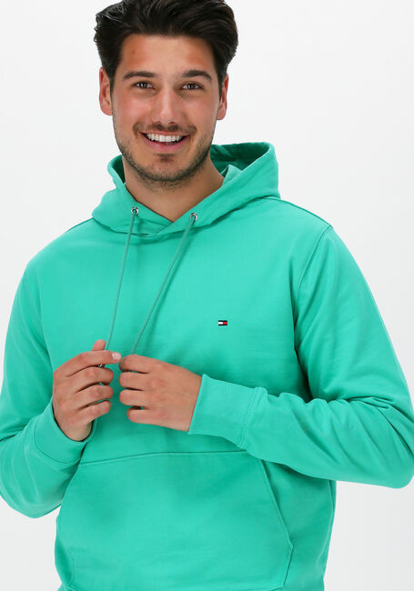 TOMMY HILFIGER Chandail 1985 HOODY en vert - large