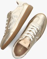Gouden FRED DE LA BRETONIERE Lage sneakers PEARL SIGN - medium