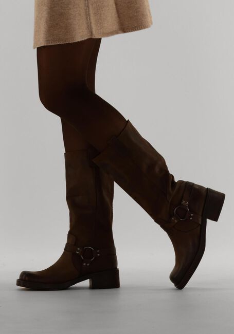 Bruine NOTRE-V  FRY01 Bruine NOTRE-V  FRY01 - large