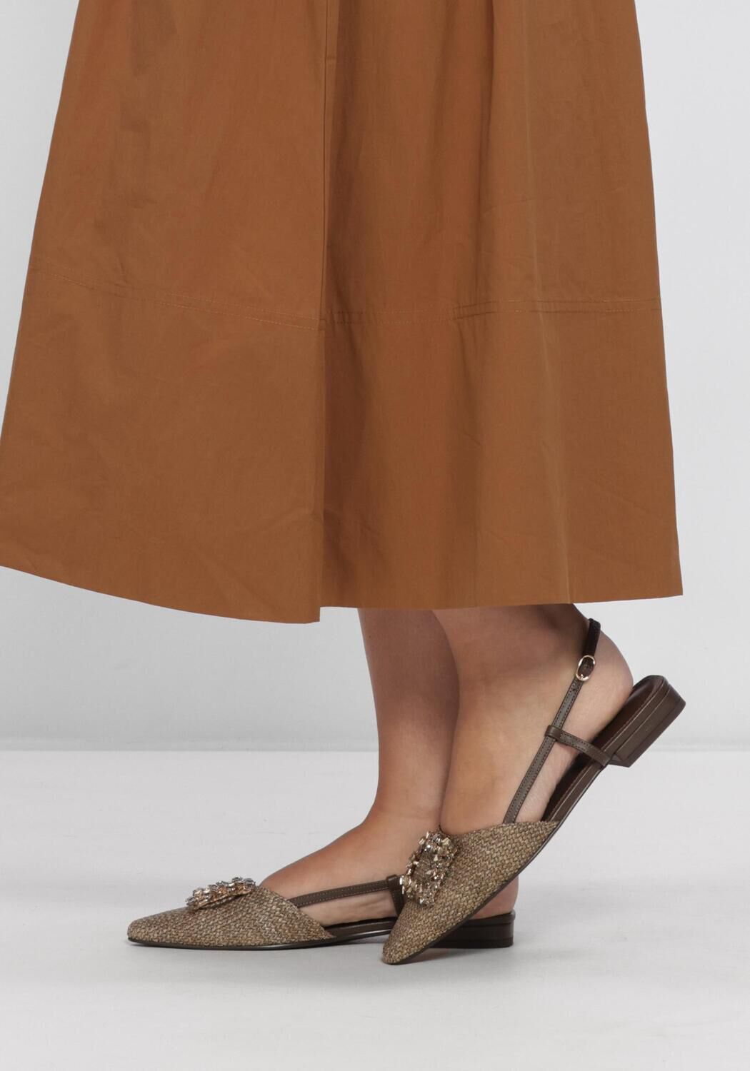 Bruine NOTRE-V  LA6155493 - large