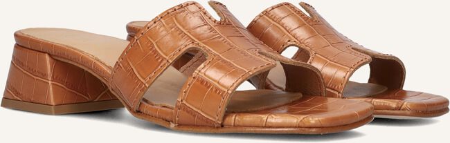 Bruine NOTRE-V  AS-16621 Bruine NOTRE-V  AS-16621 - large