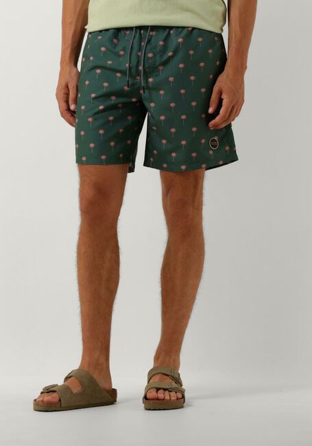 SHIWI Shorts de bain MEN SWIMSHORT PALM en vert - large
