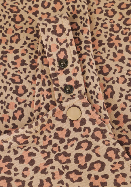 Beige Z8 Broeken/jumpsuits DAFNE Beige Z8 Broeken/jumpsuits DAFNE - large