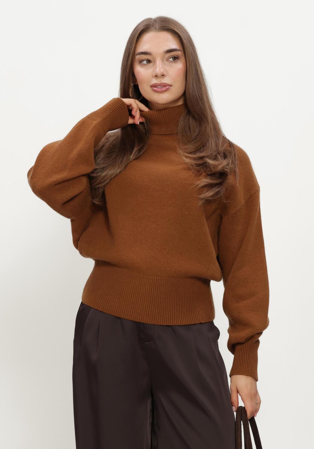 Bruine SELECTED WOMEN Coltrui SLWELLIE LS KNIT ROLL NECK - large
