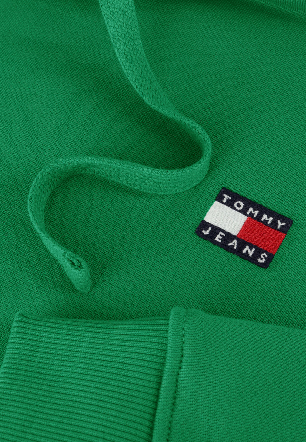 TOMMY JEANS Chandail TJM REG BADGE HOODIE en vert - large