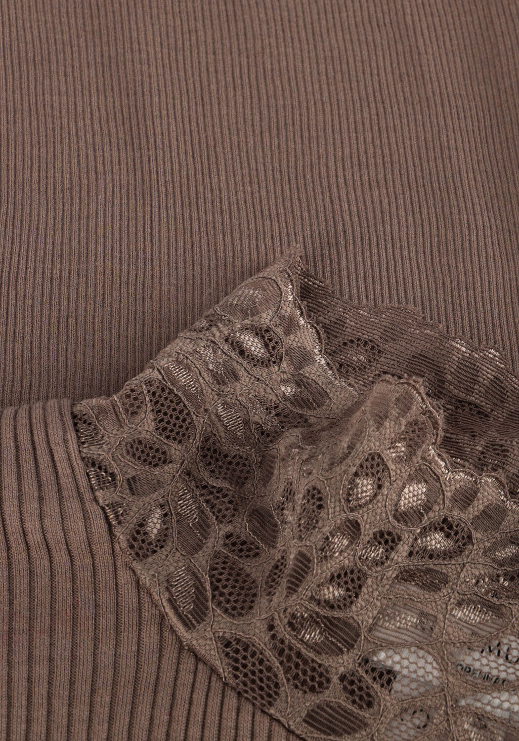 ROSEMUNDE Haut BEATHA LS REGULAR LACE en taupe - large