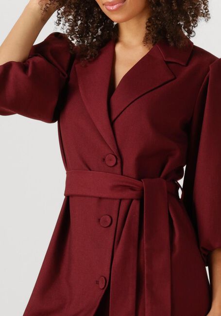 Bordeaux NOTRE-V Mini jurk NV-GINA - large