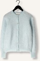 Blauwe NUKUS Vest LOREN CARDIGAN Blauwe NUKUS Vest LOREN CARDIGAN - medium