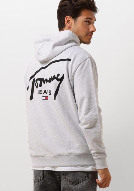 TOMMY JEANS Chandail TJM REG ENTRY GRAPHIC HOODIE EXT Gris clair - large