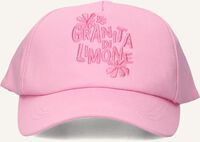 Roze Z8 Pet MADONNA Roze Z8 Pet MADONNA - medium