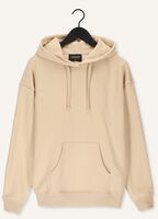 COLOURFUL REBEL Chandail GOLDEN SOUL OVERSIZED HOODIE en beige COLOURFUL REBEL Chandail GOLDEN SOUL OVERSIZED HOODIE en beige - medium