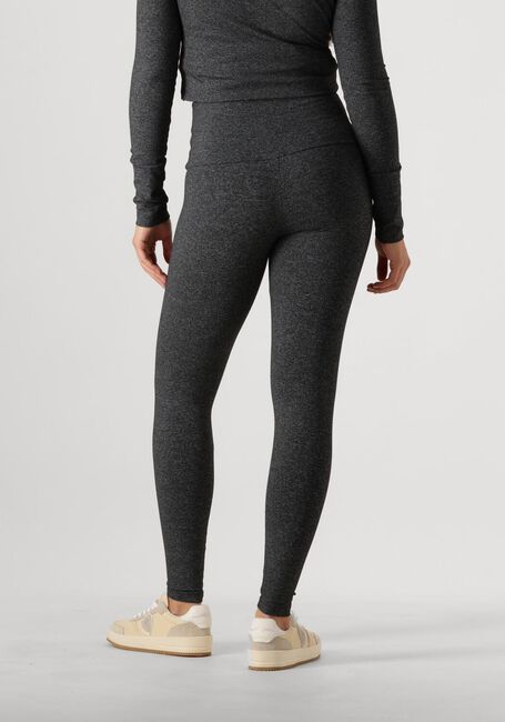 DEBLON SPORTS Legging CLASSIC LEGGINGS HIGH WAISTBAND en gris - large