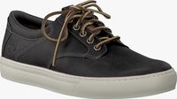 grey TIMBERLAND shoe C9051B  - medium