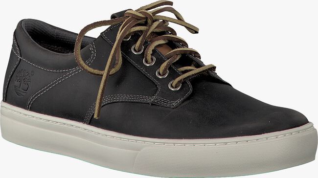 grey TIMBERLAND shoe C9051B  - large