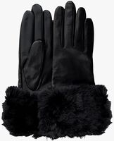 Zwarte TED BAKER Handschoenen JULIAN - medium