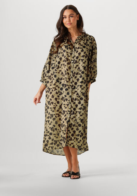 KNIT-TED Mini robe MICK en multicolore - large