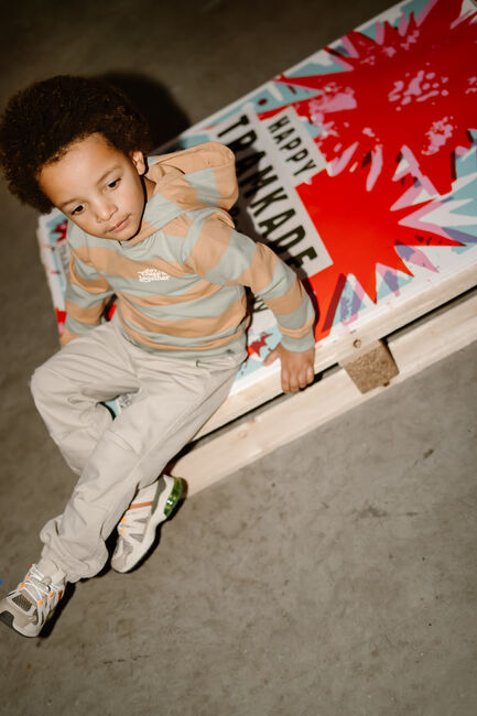 DAILY7 Pull HOODIE STRIPE en multicolore - large