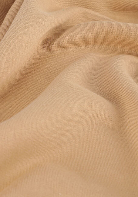 Khaki LYLE & SCOTT Truien/vesten PULLOVER HOODIE Khaki LYLE & SCOTT Truien/vesten PULLOVER HOODIE - large