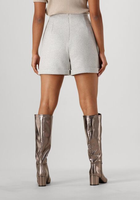ACCESS D44-5113-079 Pantalons en argent - large
