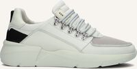 NUBIKK Baskets basses ROQUE ROMAN MEN en gris NUBIKK Baskets basses ROQUE ROMAN MEN en gris - medium