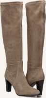 Taupe STEFANO LAURAN  97480 Taupe STEFANO LAURAN  97480 - medium