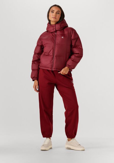 CALVIN KLEIN Veste matelassé ESSENTIAL MIDWEIGHT PUFFER JACKE Bordeaux - large