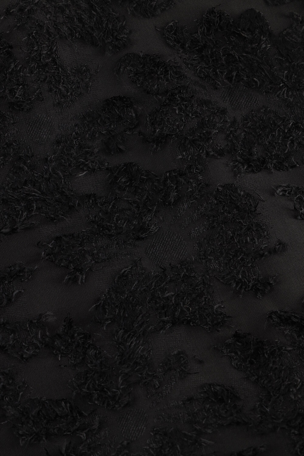 FREEBIRD DION - large