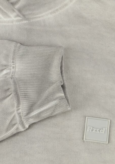 RAIZZED NEVIS Pulls & Gilets en gris - large