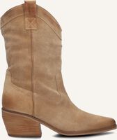 Cognac NOTRE-V  AQ313 - medium