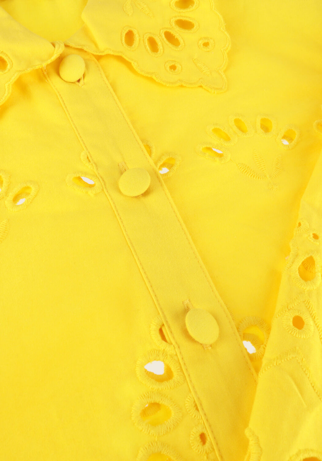 Gele IDANO  QUINTO - large