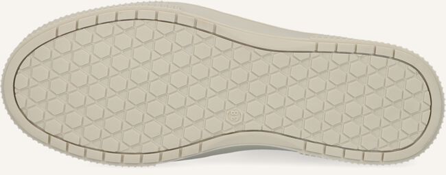 Camel NIKKIE Sneakers LIVIA SNEAKER Camel NIKKIE Sneakers LIVIA SNEAKER - large