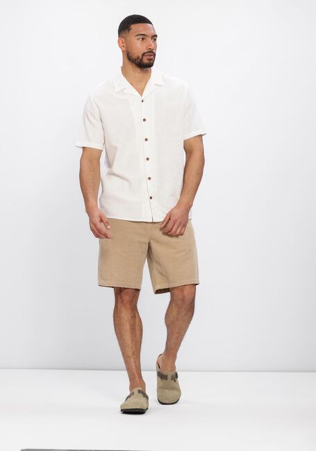 Beige ANERKJENDT Korte broek AKJAN CORDUROY SHORTS - large