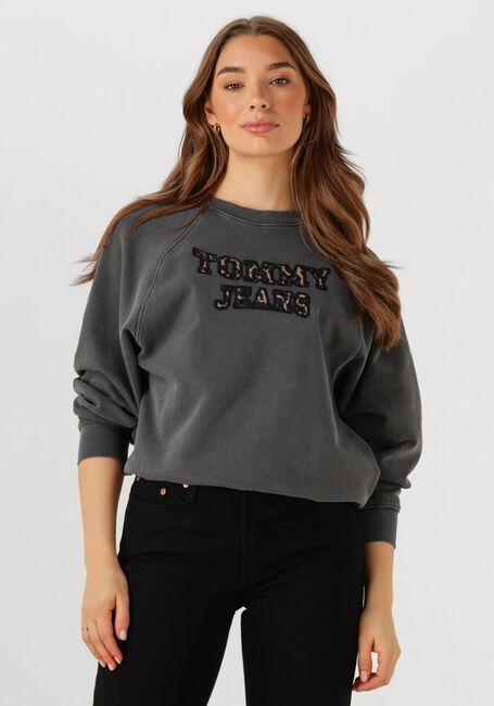 TOMMY JEANS Pull TJW BXY LEOPARD VARSITY CREW Gris foncé - large